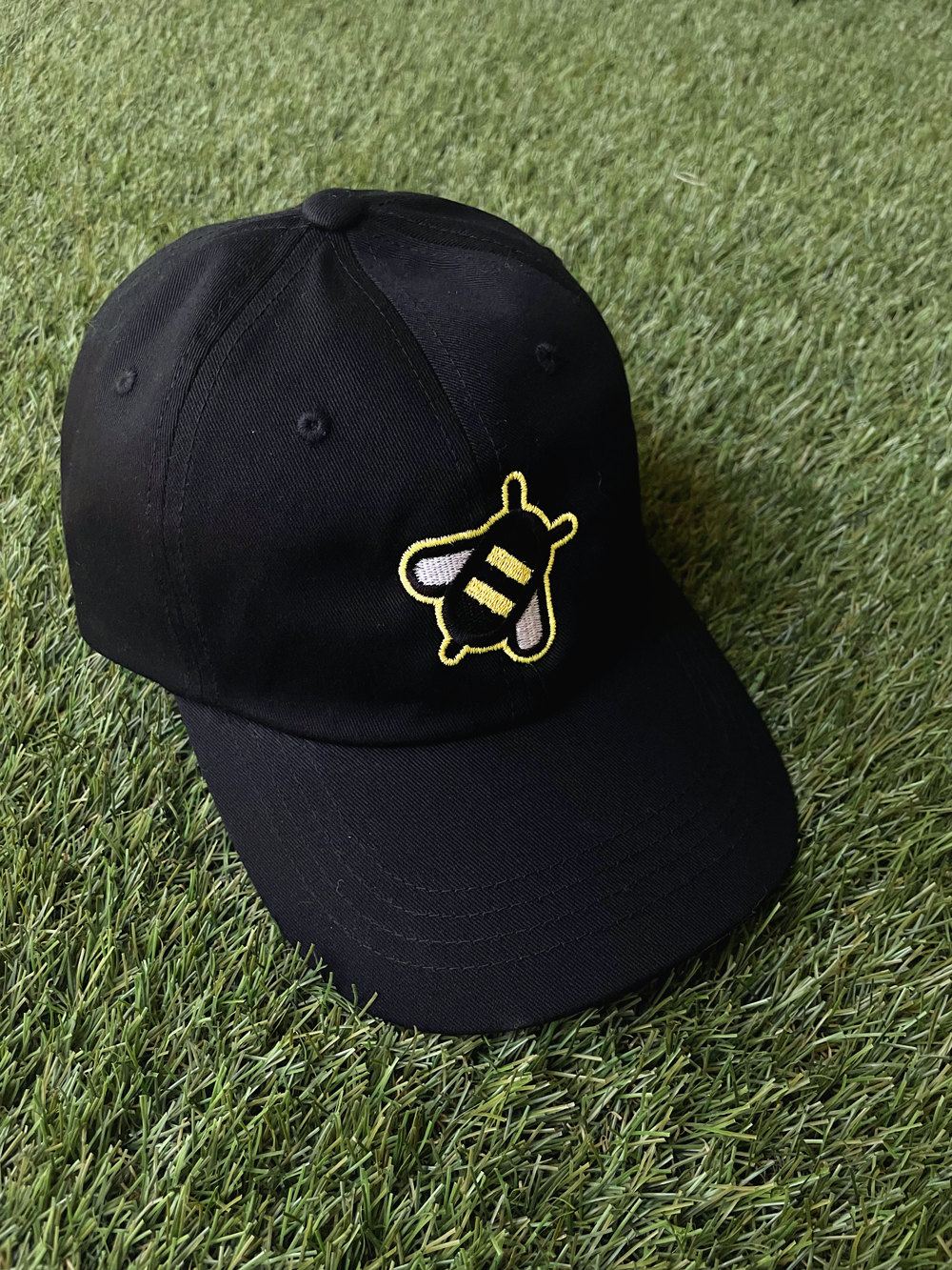 Birds and Bees - Local Buzz x TG Dad Cap/Hat